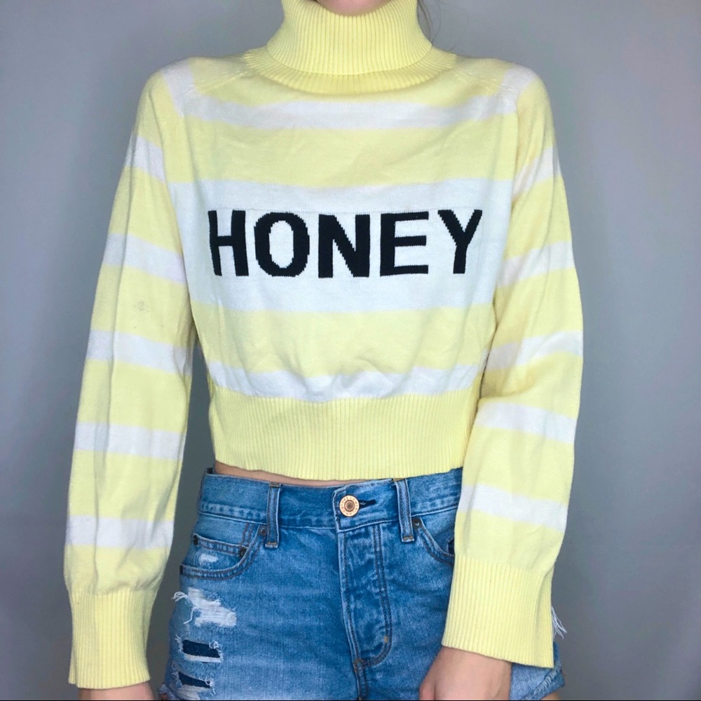 Wild Honey Cropped Sweater Turtleneck Long Sleeve Stripe Honey Hipster Soft Girl
